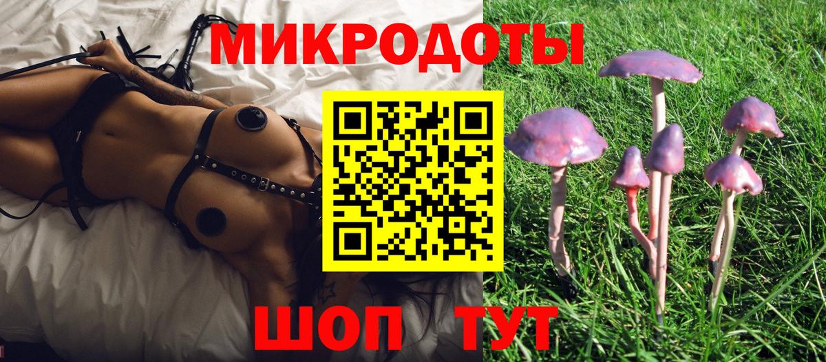 Псилоцибиновые грибы Cubensis  Вход с VPN  Кстово 